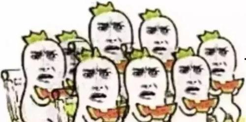 知书达理的吃瓜群众是谁,网络红人的崛起之路