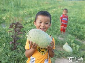 搞笑小孩吃瓜群众,小孩吃瓜群众的欢乐日常