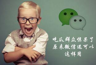 吃瓜群众微信群聊,揭秘网络社交背后的趣味与争议