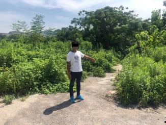 桂平北江吃瓜群众事件,网络围观下的社会现象解析