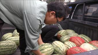 一位快乐的吃瓜群众,一位吃瓜群众的快乐生活点滴