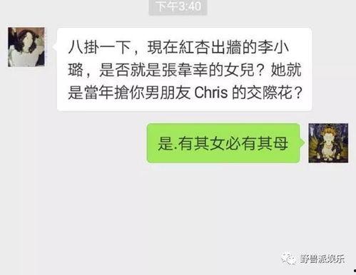 吃瓜群众变成了主角小说,从旁观者到主角的奇幻旅程