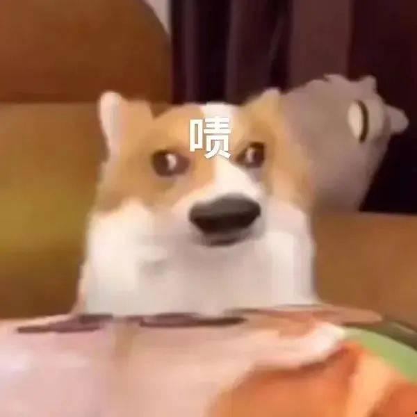 张大奕吃瓜群众集合,揭秘娱乐圈幕后风云