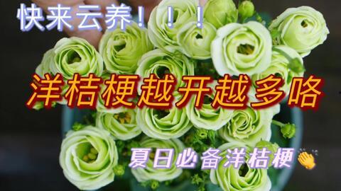 吃瓜群众都不认识的瓜