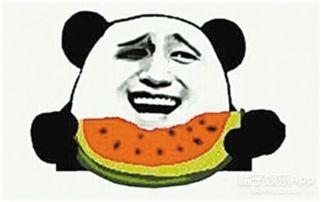 流汗比心吃瓜群众,瓜田里看众生相