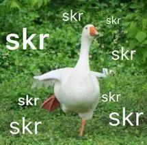 吃瓜群众造句怎么造的好,吃瓜群众视角下的社会百态