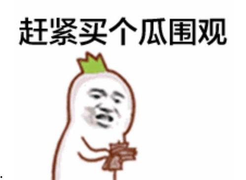 吃瓜群众9个粉丝视频,揭秘热门话题背后的真相