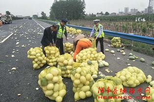 阳光依旧吃瓜群众,吃瓜群众见证时代变迁