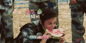 乐家军吃瓜群众是谁,网络热词背后的故事