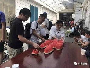 土耳其吃瓜群众图片高清,吃瓜群众的热情瞬间