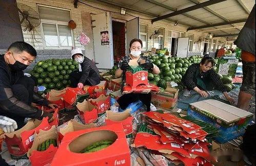 土耳其吃瓜群众图片高清,吃瓜群众的热情瞬间