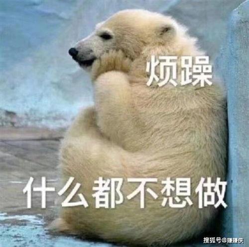 群众吃瓜好看图片,群众吃瓜图鉴