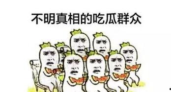 配音素材吃瓜群众,揭秘网络热点的幕后故事