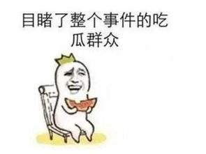 大家吃瓜群众的趣事,盘点那些让人捧腹的趣事瞬间