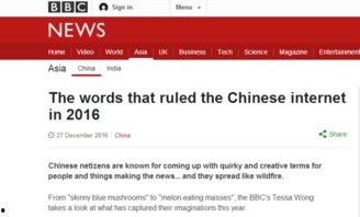 对网络吃瓜群众的评述,揭秘网络舆论场的众生相