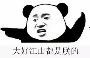 深夜一群吃瓜群众