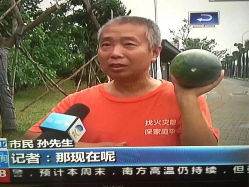 朝阳人民吃瓜群众事件真相,真相与反思