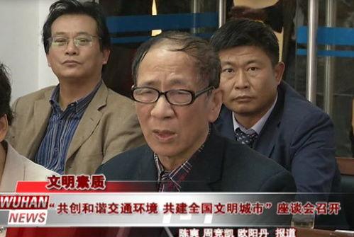 朝阳人民吃瓜群众事件真相,真相与反思