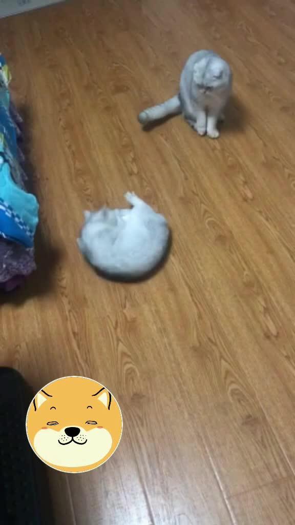 一个看戏的吃瓜群众图片,吃瓜群众众生相