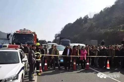 舟山吃瓜群众事件视频,网络围观下的社会现象解析