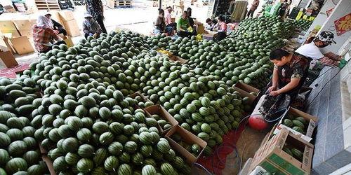 吃瓜群众吃瓜现场图片高清,高清揭秘吃瓜群众吃瓜盛况