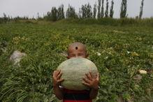 吃瓜群众岱岱 手慢无