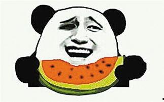 飞天喵与吃瓜群众哪个好,谁才是网络红人界的佼佼者？