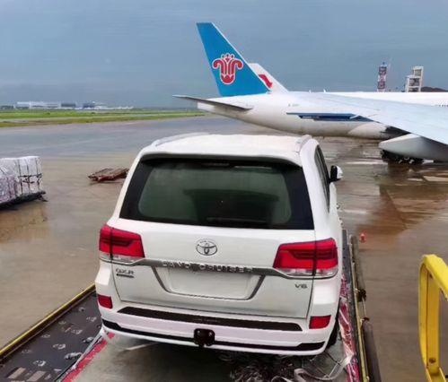 吃瓜群众的陆巡