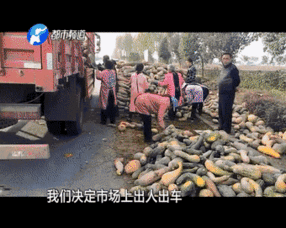 吃瓜群众吃的是不亦乐乎,吃瓜群众的不亦乐乎生活