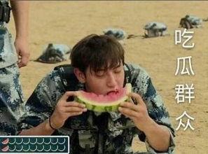 吃瓜群众哥,揭秘娱乐圈幕后真相