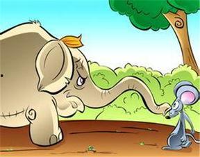 吃瓜群众小老鼠视频,揭秘娱乐圈幕后故事