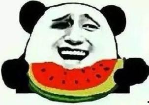 狗头侦探秀吃瓜群众,吃瓜群众揭秘悬疑事件背后的真相