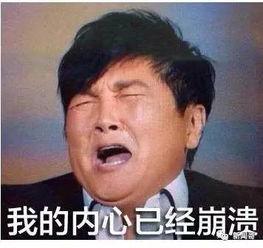 真心吃瓜群众怎么说,揭秘“真心吃瓜群众”背后的真实心声